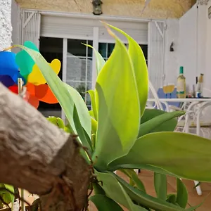 Apartamento San Antonio - Beach, Pool And Terrace, Torremolinos